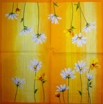 142 Daisies  - 3-ply - Ihr